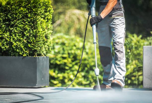 Best Concrete Surface Cleaning in Spring Grove, MN